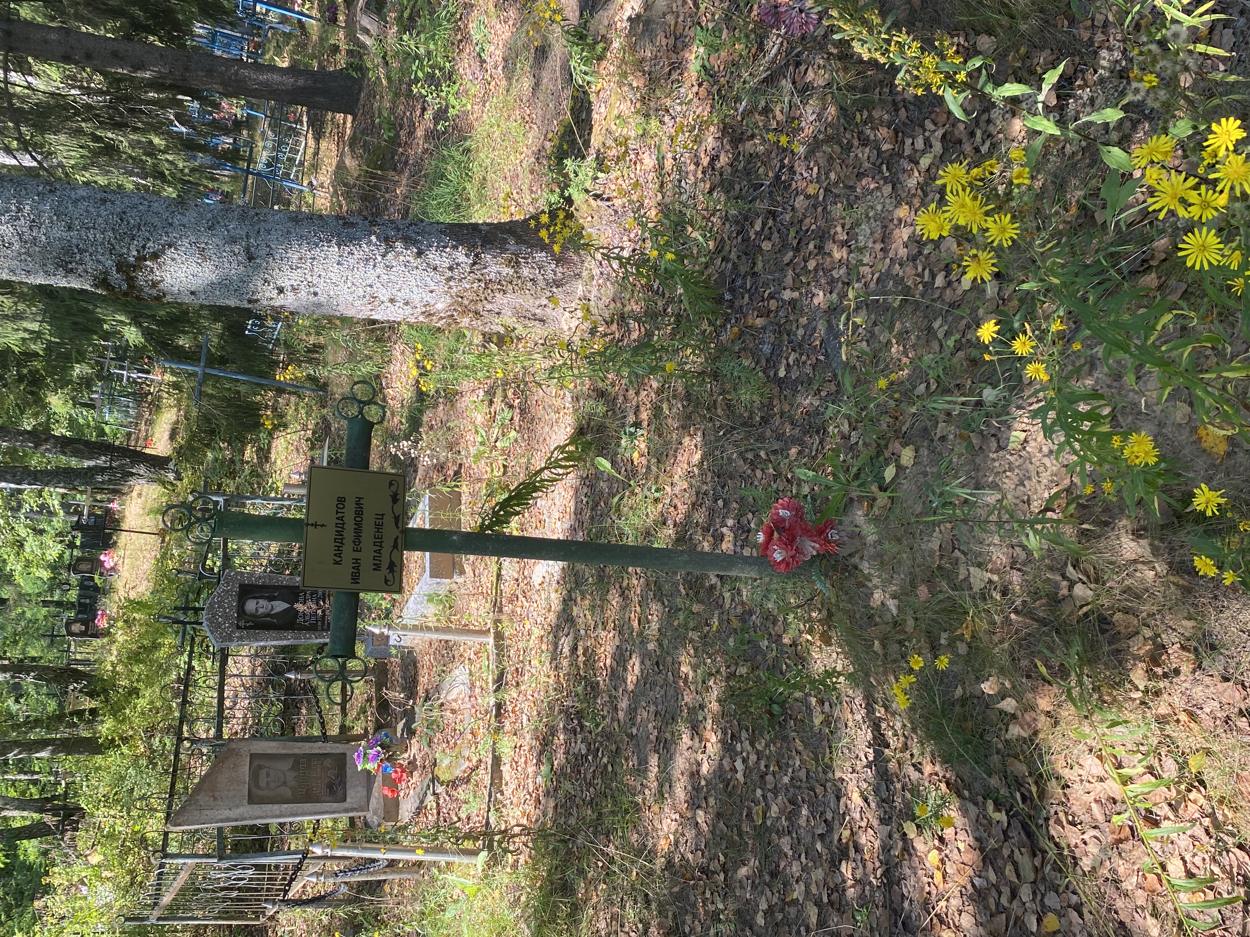 Фотография надгробия